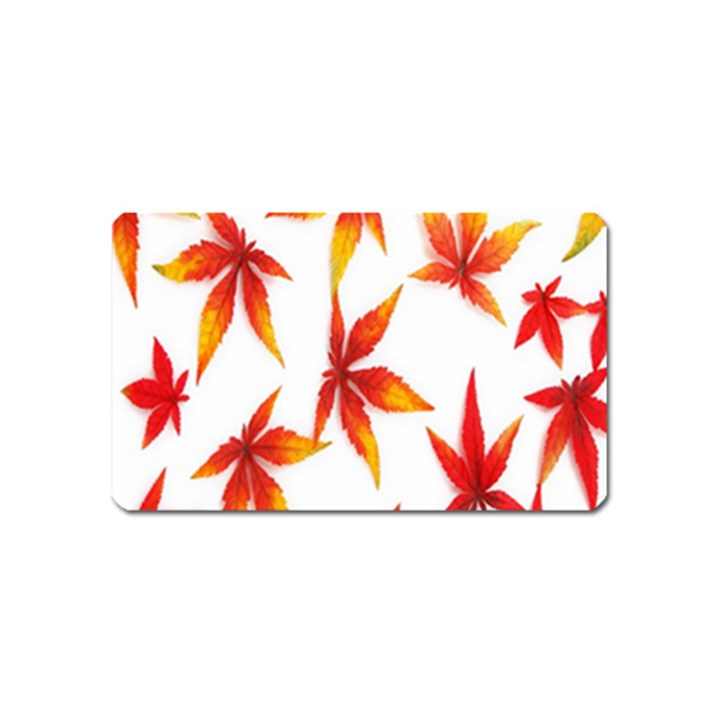 Colorful Autumn Leaves On White Background Magnet (Name Card)