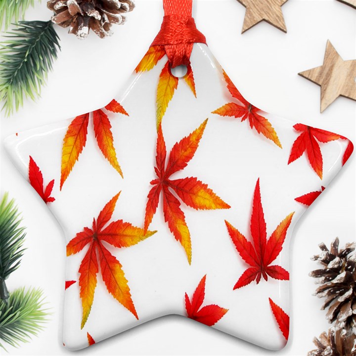 Colorful Autumn Leaves On White Background Star Ornament (Two Sides)