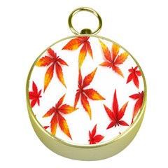 Colorful Autumn Leaves On White Background Gold Compasses by Simbadda