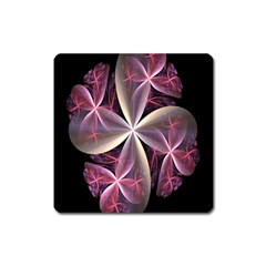 Pink And Cream Fractal Image Of Flower With Kisses Square Magnet by Simbadda