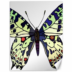 A Colorful Butterfly Image Canvas 36  X 48   by Simbadda