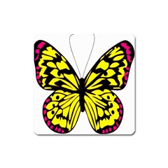 Yellow A Colorful Butterfly Image Square Magnet by Simbadda