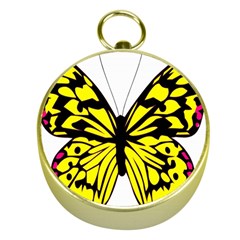 Yellow A Colorful Butterfly Image Gold Compasses by Simbadda