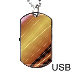 Diagonal Color Fractal Stripes In 3d Glass Frame Dog Tag Usb Flash (one Side) by Simbadda