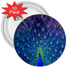 Amazing Peacock 3  Buttons (10 Pack)  by Simbadda