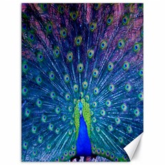 Amazing Peacock Canvas 18  X 24   by Simbadda