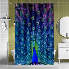 Amazing Peacock Shower Curtain 48  X 72  (small)  by Simbadda