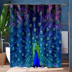 Amazing Peacock Shower Curtain 60  X 72  (medium)  by Simbadda