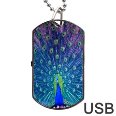 Amazing Peacock Dog Tag Usb Flash (one Side) by Simbadda