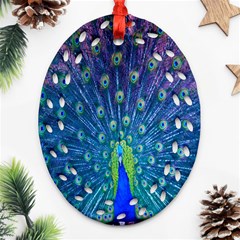 Amazing Peacock Oval Filigree Ornament (two Sides) by Simbadda