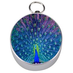 Amazing Peacock Silver Compasses by Simbadda