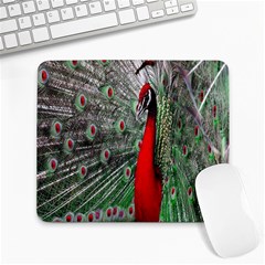 Red Peacock Large Mousepads by Simbadda