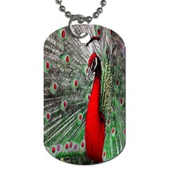 Red Peacock Dog Tag (two Sides) by Simbadda