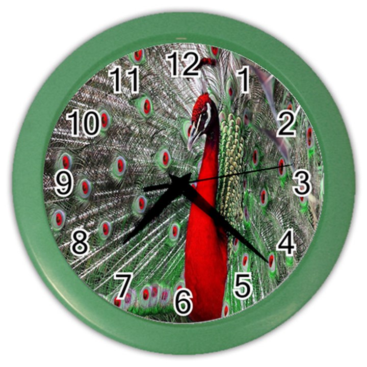 Red Peacock Color Wall Clocks