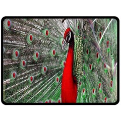 Red Peacock Double Sided Fleece Blanket (large)  by Simbadda