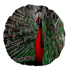 Red Peacock Large 18  Premium Flano Round Cushions by Simbadda