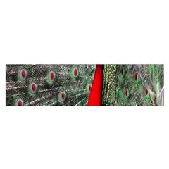 Red Peacock Satin Scarf (oblong) by Simbadda