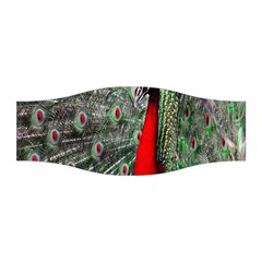 Red Peacock Stretchable Headband