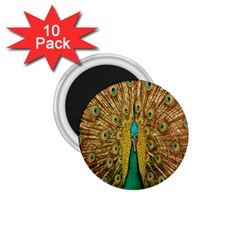 Peacock Bird Feathers 1 75  Magnets (10 Pack)  by Simbadda