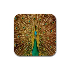 Peacock Bird Feathers Rubber Square Coaster (4 Pack)  by Simbadda