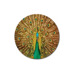 Peacock Bird Feathers Magnet 3  (round) by Simbadda