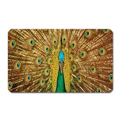 Peacock Bird Feathers Magnet (rectangular) by Simbadda