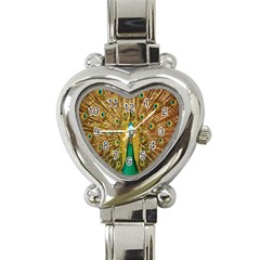 Peacock Bird Feathers Heart Italian Charm Watch by Simbadda