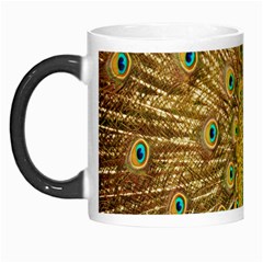 Peacock Bird Feathers Morph Mugs