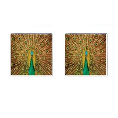 Peacock Bird Feathers Cufflinks (square) by Simbadda