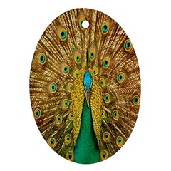 Peacock Bird Feathers Oval Ornament (two Sides) by Simbadda