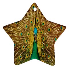 Peacock Bird Feathers Star Ornament (two Sides) by Simbadda