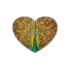 Peacock Bird Feathers Heart Coaster (4 Pack)  by Simbadda