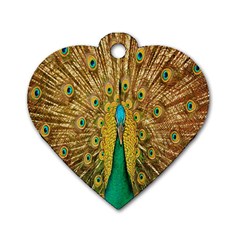 Peacock Bird Feathers Dog Tag Heart (one Side) by Simbadda