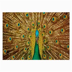 Peacock Bird Feathers Large Glasses Cloth (2-side) by Simbadda