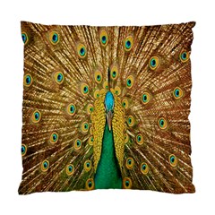 Peacock Bird Feathers Standard Cushion Case (one Side) by Simbadda