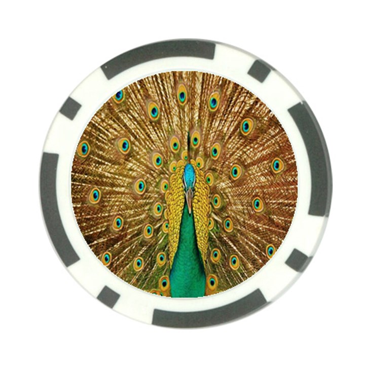 Peacock Bird Feathers Poker Chip Card Guard (10 pack)