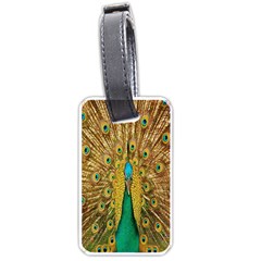 Peacock Bird Feathers Luggage Tags (one Side)  by Simbadda