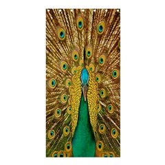 Peacock Bird Feathers Shower Curtain 36  X 72  (stall)  by Simbadda