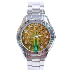 Peacock Bird Feathers Stainless Steel Analogue Watch by Simbadda