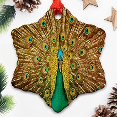 Peacock Bird Feathers Ornament (snowflake) by Simbadda