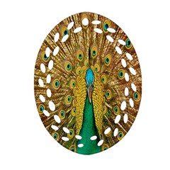 Peacock Bird Feathers Ornament (oval Filigree) by Simbadda