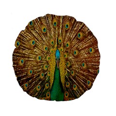 Peacock Bird Feathers Standard 15  Premium Flano Round Cushions by Simbadda