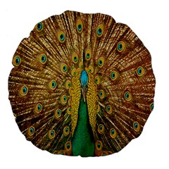 Peacock Bird Feathers Large 18  Premium Flano Round Cushions by Simbadda