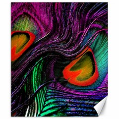 Peacock Feather Rainbow Canvas 20  X 24   by Simbadda