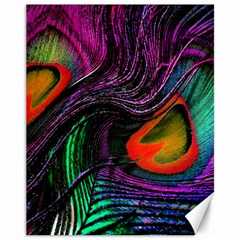 Peacock Feather Rainbow Canvas 11  X 14   by Simbadda