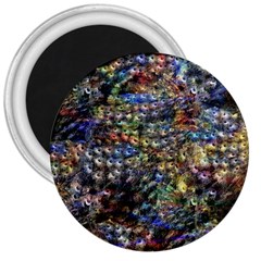 Multi Color Peacock Feathers 3  Magnets by Simbadda