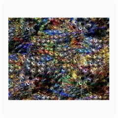 Multi Color Peacock Feathers Small Glasses Cloth (2-side) by Simbadda