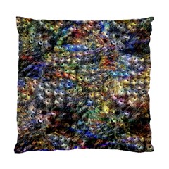 Multi Color Peacock Feathers Standard Cushion Case (one Side) by Simbadda