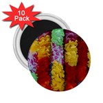 Colorful Hawaiian Lei Flowers 2.25  Magnets (10 pack)  Front