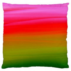 Watercolour Abstract Paint Digitally Painted Background Texture Large Cushion Case (one Side) by Simbadda